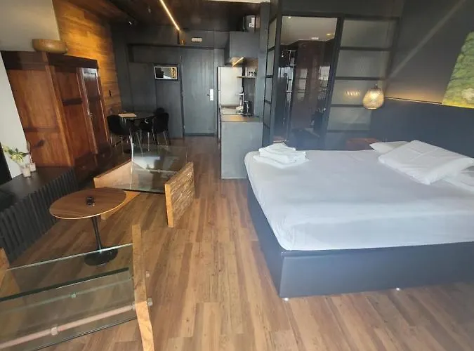 Vision Executive Premium VI